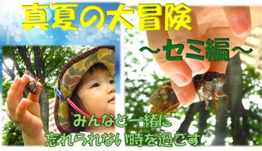 真夏の大冒険