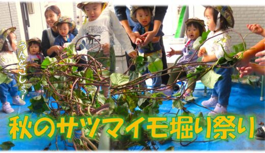 10月は盛りだくさん！