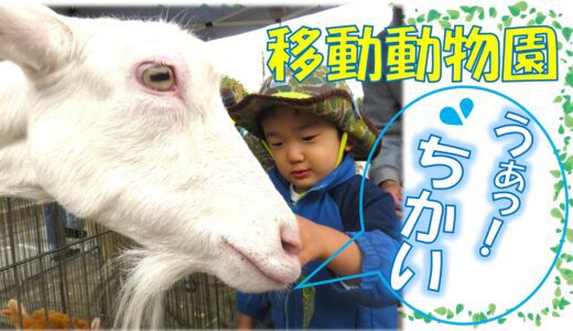 触れ合い♡移動動物園